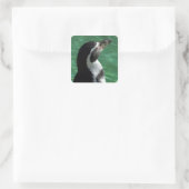 Stickers Penguin (Sac)