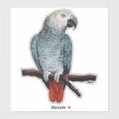 Stickers perroquet Stickers perroquet gris africai (Feuille)