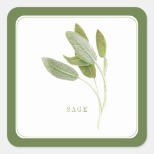 Stickers petit Carré à la SAGE FRAÎCHE - Vert