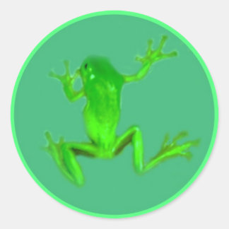 Stickers Petit Froggy Vert