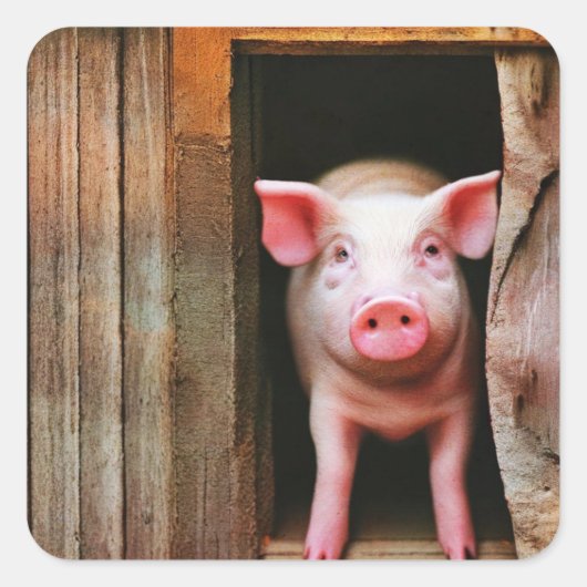 Stickers Petite Piggy (Devant)