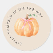 Stickers Petits Citrouilles (Devant)