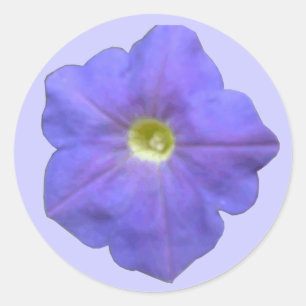 Stickers Petunia bleu