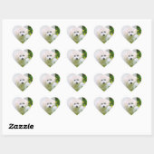 Stickers photo (Feuille)