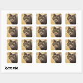 Stickers Photo Chat Maine Coon (Feuille)