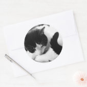 Stickers Photo Chat Noir & Blanc (Enveloppe)