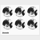 Stickers Photo Chat Noir & Blanc (Feuille)