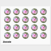 Stickers Photo Fleur Rose (Feuille)