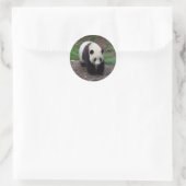 Stickers Photo Panda géant (Sac)