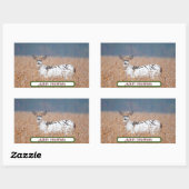 Stickers Photo Piebald Deer (Feuille)