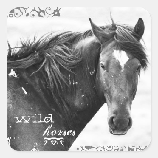 Stickers photo Wild Horse Sud-Ouest (Devant)