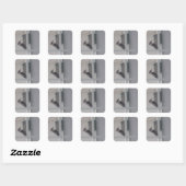 Stickers Pic Downy (Feuille)