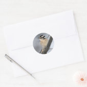 Stickers Pic Downy (Enveloppe)