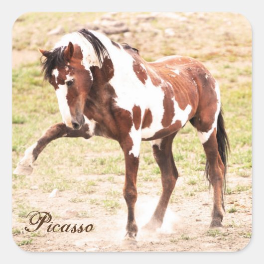 Stickers Picasso Stallion Picasso de Peinture sauv (Devant)