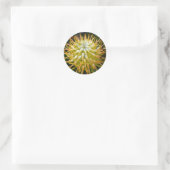 Stickers Pincushion Protea Tropical Jaune Fleur (Sac)