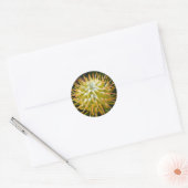 Stickers Pincushion Protea Tropical Jaune Fleur (Enveloppe)