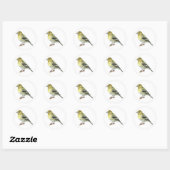 Stickers Pine Siskin Songbird (Feuille)