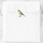 Stickers Pine Siskin Songbird (Sac)