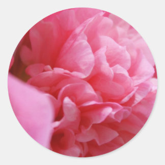 Stickers Pinkalicious