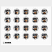 Stickers Pipette Rottweiler (Feuille)