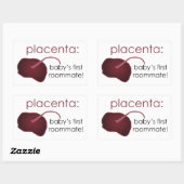 stickers Placenta (Feuille)
