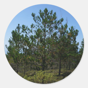 Stickers Plage de galets de Huckleberry Hill