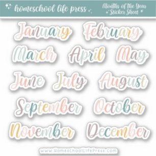 Stickers Planner Retro Rainbow Mois de l'année