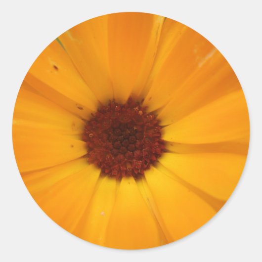 Stickers Pluie Orange (Devant)