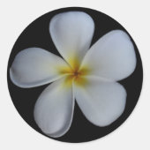 Stickers Plumeria (Devant)