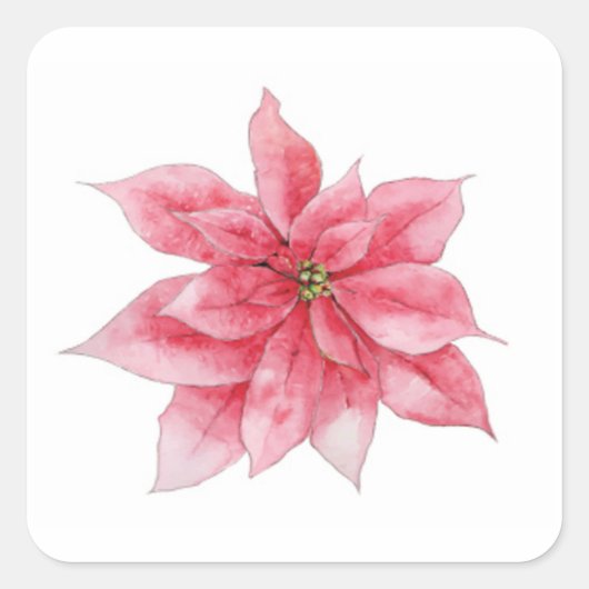 Stickers Poinsettia aquarelle (Devant)