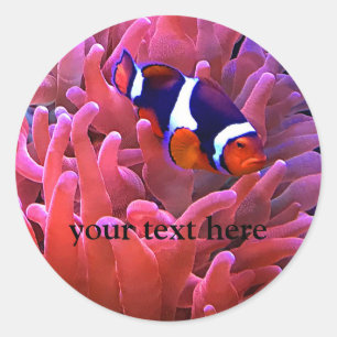 Stickers poisson-clown #1