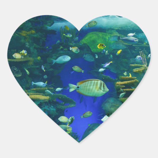 Stickers poissons tropicaux (Devant)