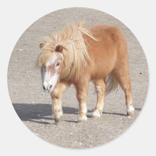 Stickers Pony (Devant)