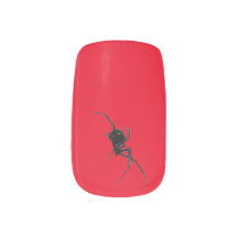 Araignée noire d'Halloween sur un arrière - plan r