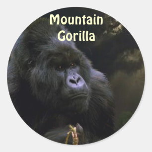 Stickers Primate de Gorilla de montagne sauvage