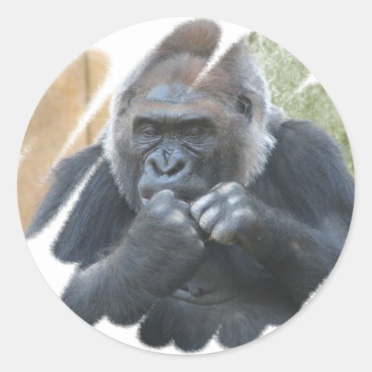 Stickers Primate Gorilla (Devant)