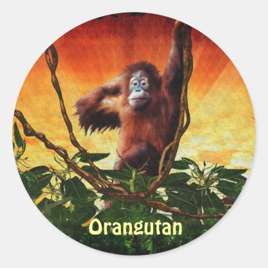 Stickers Primate Orangutan Baby & Jungle Great Ape (Devant)