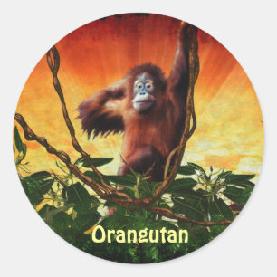 Stickers Primate Orangutan Baby & Jungle Great Ape