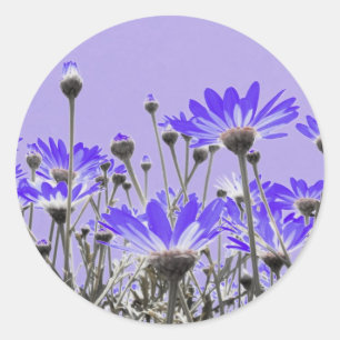 Stickers Purple Daisy