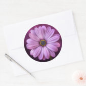 Stickers Purple Daisy (Enveloppe)