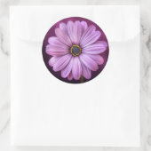 Stickers Purple Daisy (Sac)