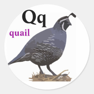 Stickers Quail Lettre Q