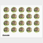 Stickers Raccoon (Feuille)