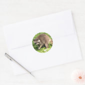 Stickers Raccoon (Enveloppe)