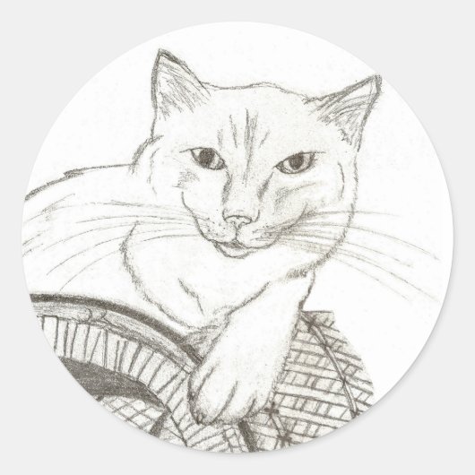 Stickers Ragdoll Portrait Cat - Set de 20 (Devant)