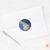 Stickers Rat (Enveloppe)