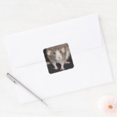 Stickers Rat fantaisie Brown et blanc (Enveloppe)