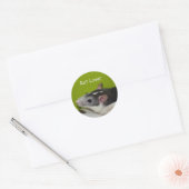 Stickers Rat Lover (Enveloppe)