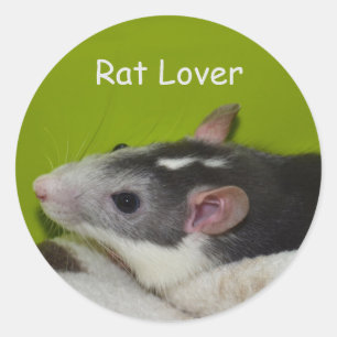 Stickers Rat Lover