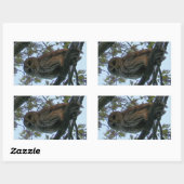 Stickers Rectangle Chouette Barrée (Feuille)